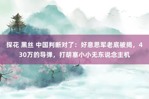探花 黑丝 中国判断对了：好意思军老底被揭，430万的导弹，打胡塞小小无东说念主机