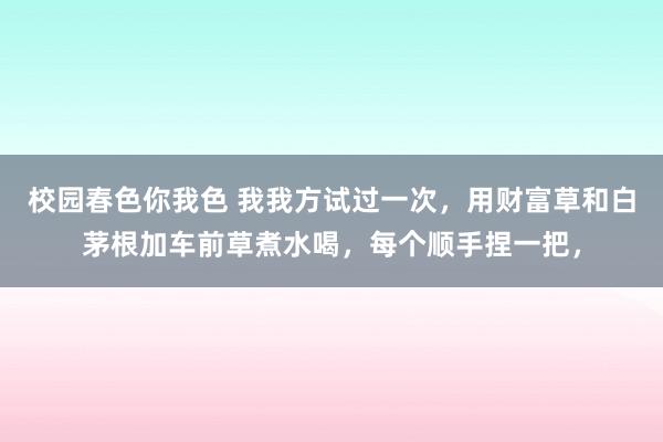 校园春色你我色 我我方试过一次,用财富草和白茅根加车前草煮水喝,每个顺手捏一把,