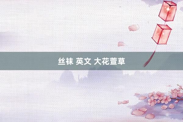 丝袜 英文 大花萱草